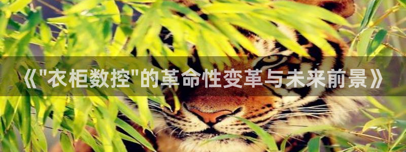 天辰娱乐集团