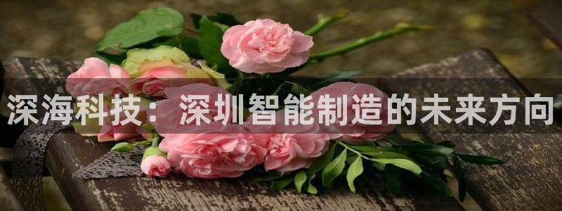 天辰娱乐总管年薪