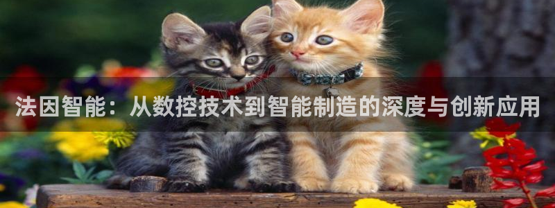 天辰娱乐跑的快