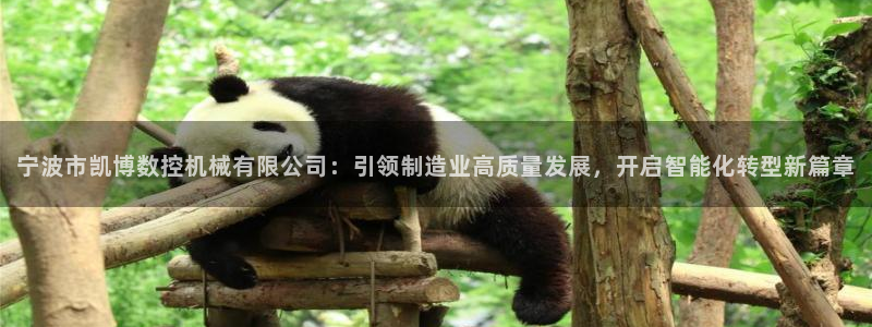 广东天辰娱乐