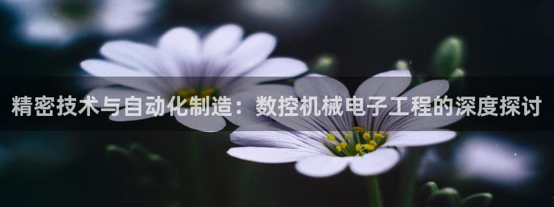 天富娱乐天辰娱乐