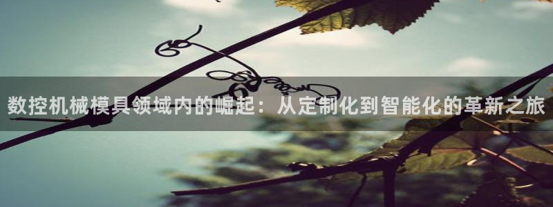 天辰娱乐咋样
