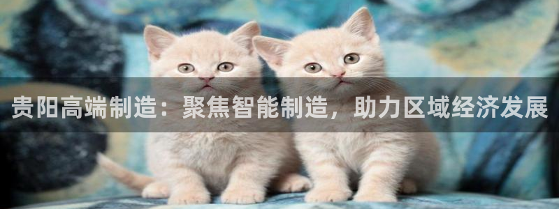 天辰娱乐官网