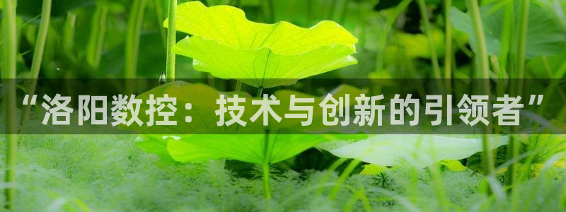 天辰娱乐彩票