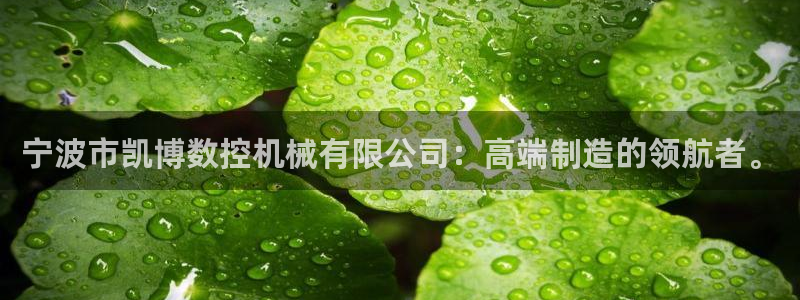 天辰娱乐 231639：宁波市凯博数控机械有限公司：高端制造的领航者。
