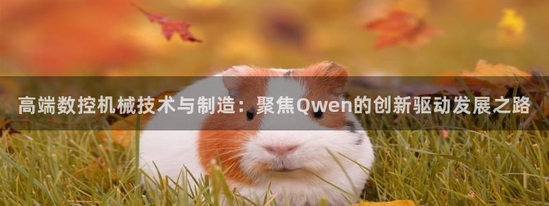 天辰娱乐60447：高端数控机械技术与制造：聚焦Qwen的创新驱动发展之路