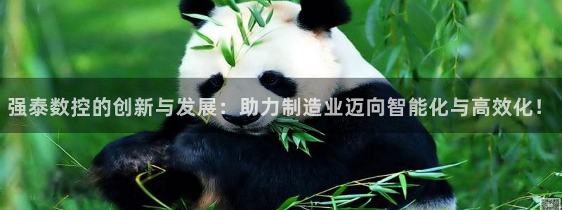天辰娱乐挂机：强泰数控的创新与发展：助力制造业迈向智能化与高效化！