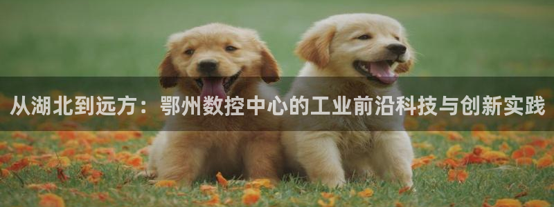 天辰娱乐官网平台下载