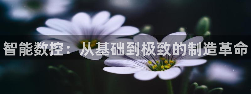 天辰娱乐论坛
