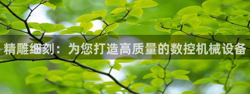 天辰娱乐官：精雕细刻：为您打造高质量的数控机械设备