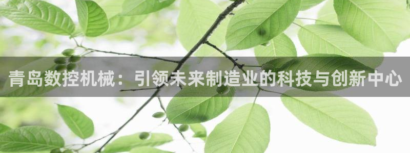 天辰 娱乐 注册:青岛数控机械:引领未来制造业的科技与创新中心