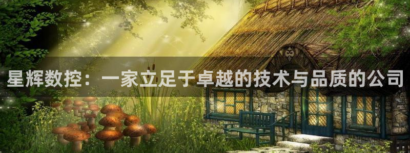 天辰娱乐1996