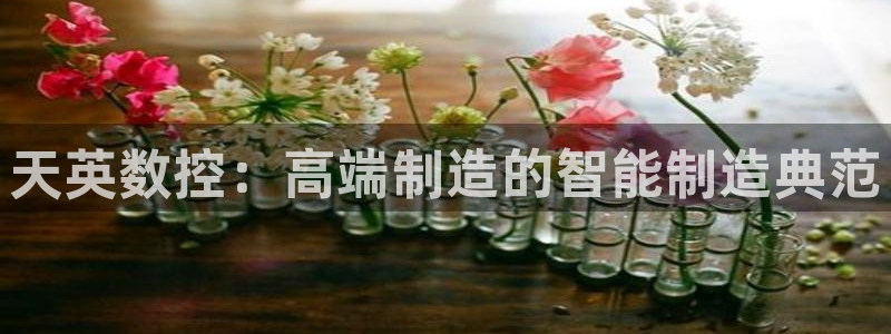 天辰娱乐论坛:天英数控:高端制造的智能制造典范