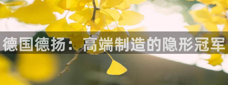 天辰娱乐新