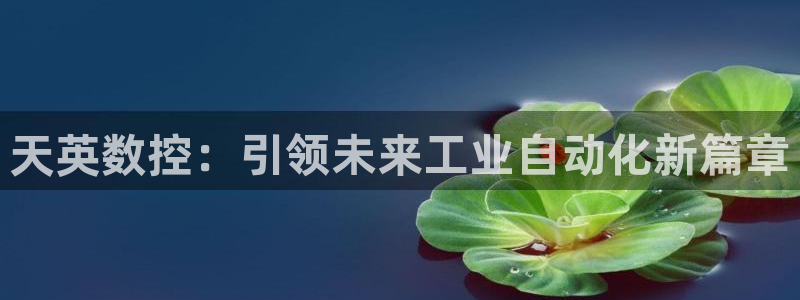 天辰娱乐下载地址