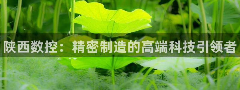 天辰娱乐开户：陕西数控：精密制造的高端科技引领者