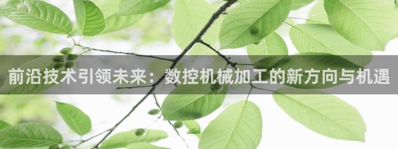 天辰娱乐登录网址