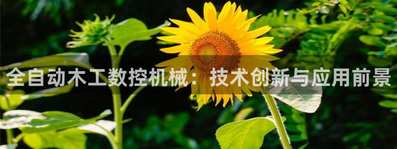 天辰娱乐招商