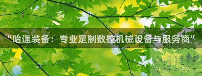 大同天辰娱乐