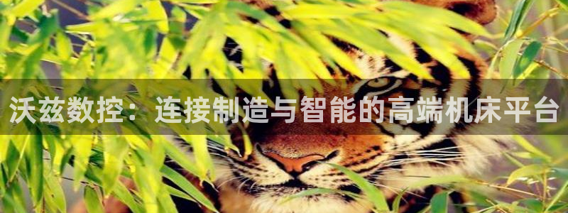 天辰娱乐论坛：沃兹数控：连接制造与智能的高端机床平台