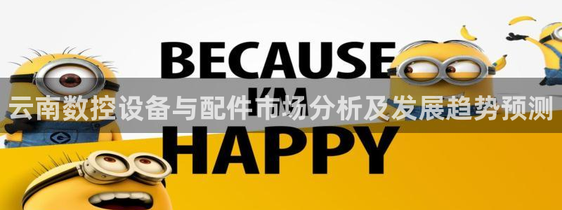 天辰娱乐平台娱乐注册：云南数控设备与配件市场分析及发展趋势预测
