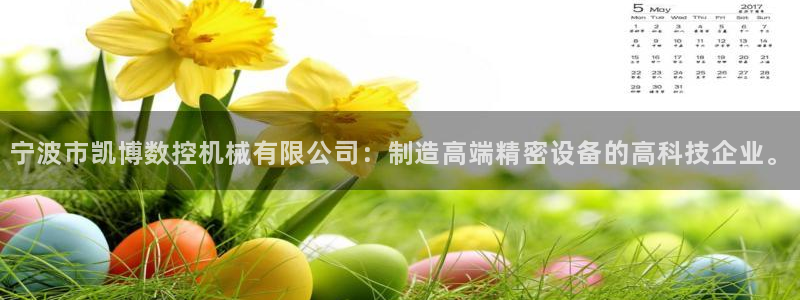 广东天辰娱乐