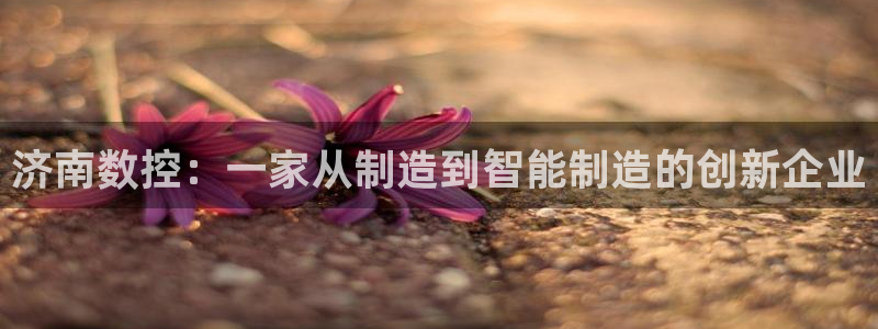 天辰娱乐天辰宝