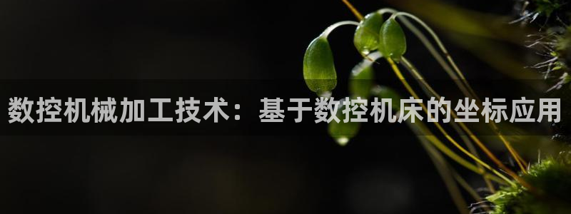 天辰天富娱乐登录