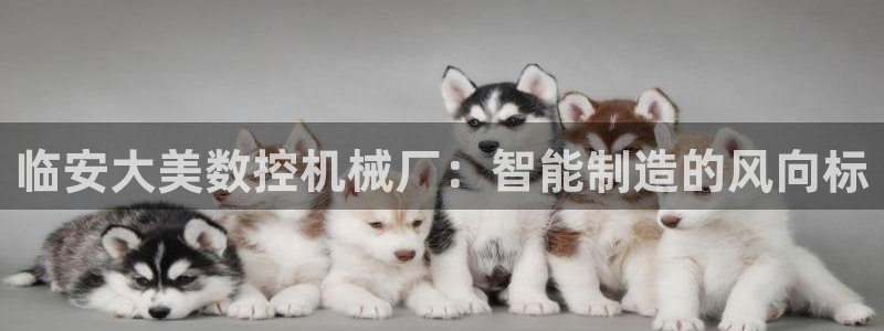 天辰娱乐平台登录账号