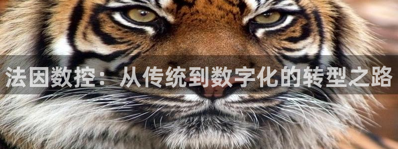 天辰娱乐平台地址