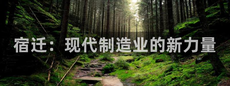 天辰娱乐彩票：宿迁：现代制造业的新力量