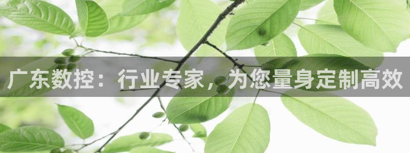 天辰娱乐注册登录：广东数控：行业专家，为您量身定制高效