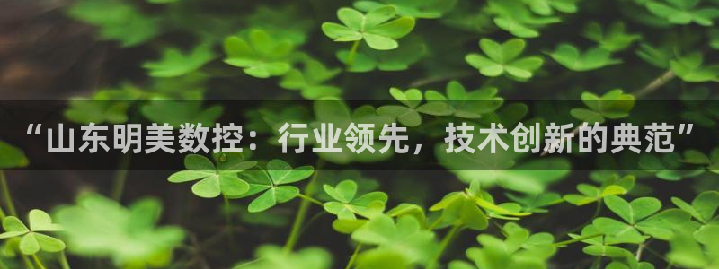 天富娱乐天辰娱乐