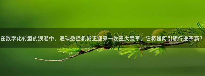 天辰娱乐-q：在数字化转型的浪潮中，通瑞数控机械正迎来一次重大变革，它将如何引领行业革新？