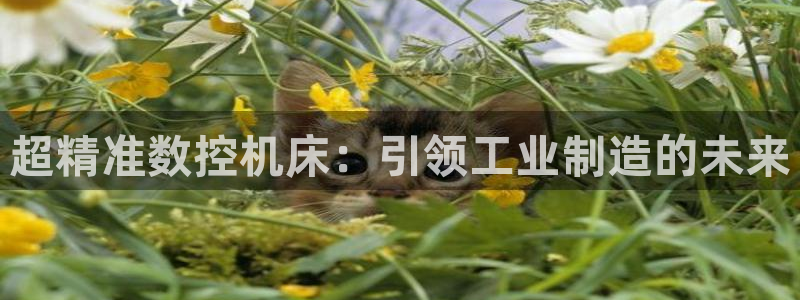 天辰娱乐平台app下载